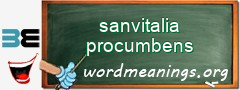 WordMeaning blackboard for sanvitalia procumbens